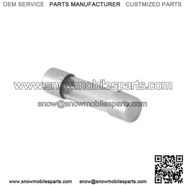Glass Tube Fuse - 5pc