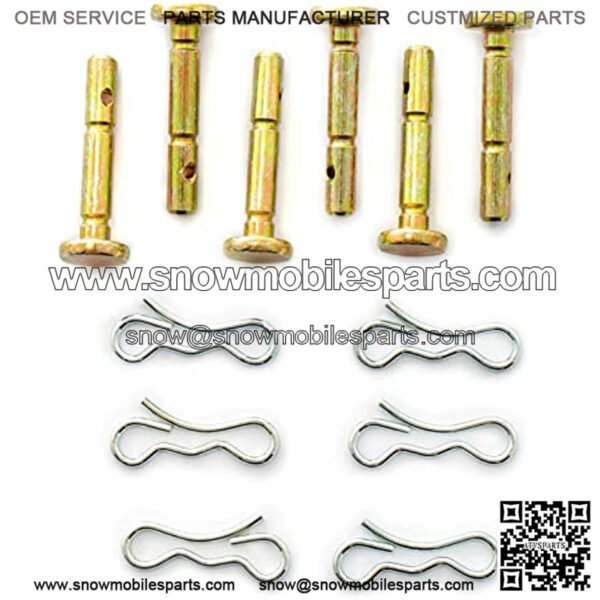 Craftsman CMXGZAM241055 Snow Blower Shear Pins, Silver/Gold