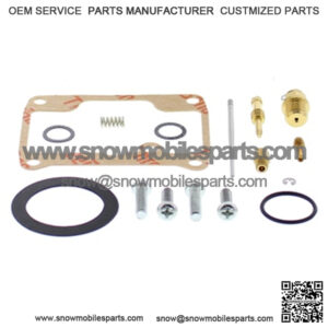 Carburetor Repair Kit Fits Ski-doo