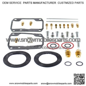 Carburetor Repair Kit Fits BRP