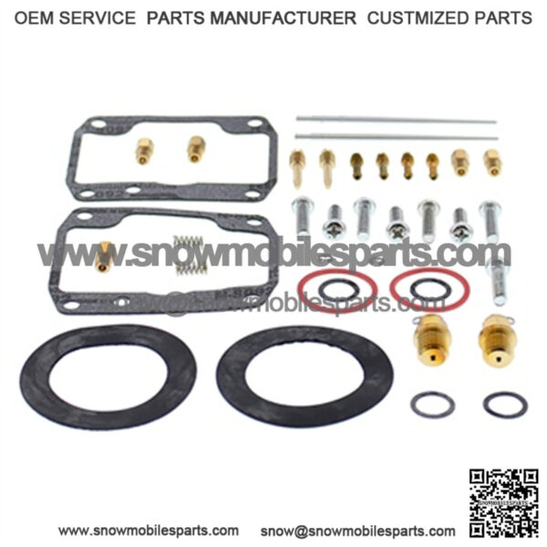 Carburetor Repair Kit Fits BRP