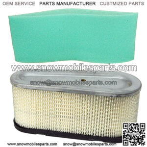 Air & Pre Filter fits Craftsman LT1000 LT4000 Fits Briggs and Stratton 282700