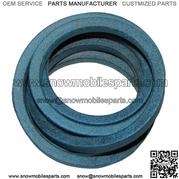 258-113 Belt