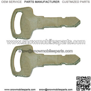 Ignition Keys (2) Fits Kubota 15248-63700 B2100HSD B1700HSD B2100 B1700
