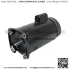 2 HP 3450 RPM 56Y Frame 230V Square Flange Pool Motor Century # B2855 - Image 2