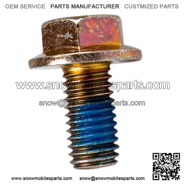 Polaris 7518460 OEM Hex Flange Bolt w Patch M10X1.5X20 2006-2024 ACE General Scrambler
