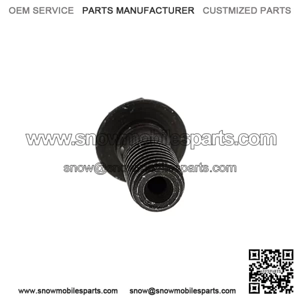 Polaris Ranger Banjo Bolt, 10 mm x 1.25-6G,  OEM Part 1910958, Qty 1 - Image 3