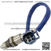Oxygen sensor (rear)  DX23-9G444-FA C2D23703   37CM for Jaguar XJ123.0T - Image 3