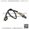 Oxygen Sensor(Rear) A0045420718 0258006749 330MM for Benz W204 W212 - Image 2