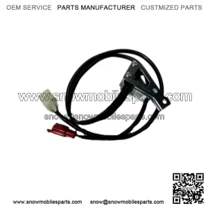 Rear Brake Switch Set Goldwing GL1800 & F6B 06-17 OEM Honda