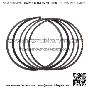Kawasaki OEM 1986-2006 Vulcan Piston Ring Set New 13008-1077