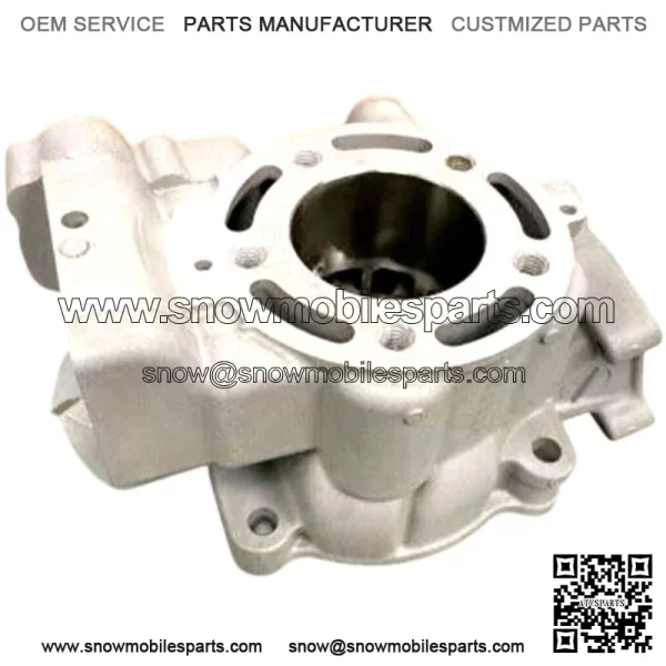 In 2014 - 2021 KAWASAKI KX85 KX 85 Engine Cylinder 11005-0749 New