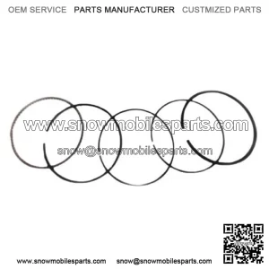 Standard Piston Rings Kit Set ATC ES TRX 250 300 FW X Honda