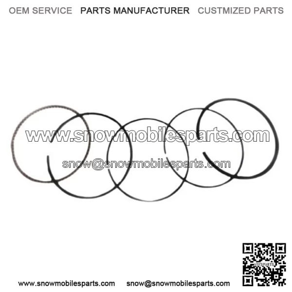 Standard Piston Rings Kit Set ATC ES TRX 250 300 FW X Honda