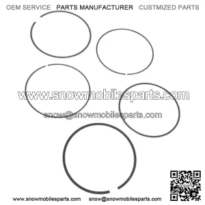 Kawasaki OEM Piston Ring Set New 13008-0015